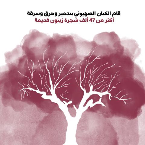 fas_a_03