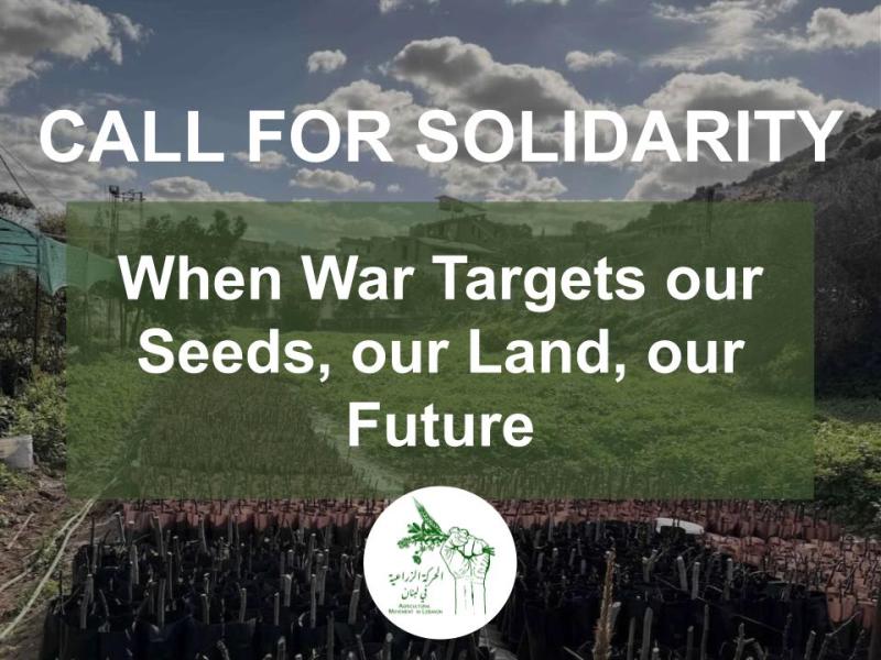 Call For Solidarity