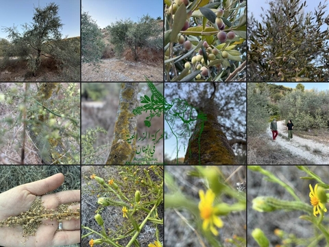 الحركة الزراعية في لبنان